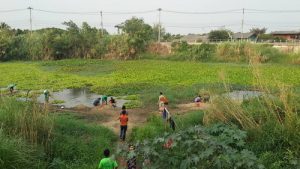 13001064_1353984357948937_2355638140124803192_n_resize